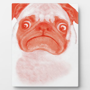 MOPS_orange3.png Fotoplatte