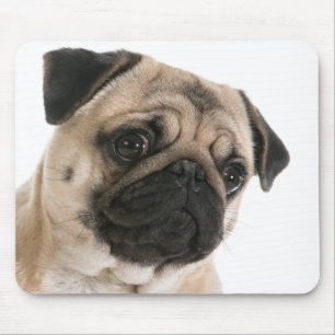Mops-Pad mit Love-Pug-Welpen Mousepad