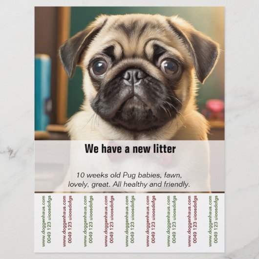 Mops-Pappy zum Verkauf von Ripp Off Flyer (Vorne)