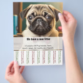 Mops-Pappy zum Verkauf von Ripp Off Flyer (Hand)