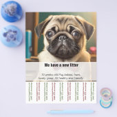 Mops-Pappy zum Verkauf von Ripp Off Flyer (Einzeln)