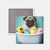 Mops Paradies: Badefreudigkeit in der Tube Magnet (Vorderseite/Rückseite)