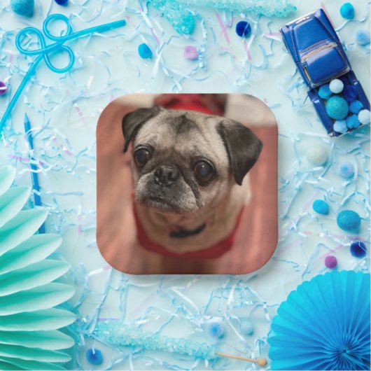 Mops Party Teller (Party)