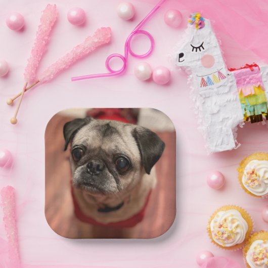 Mops Party Teller (Party)