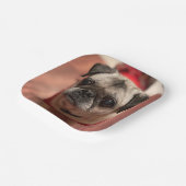 Mops Party Teller (Gewinkelt)