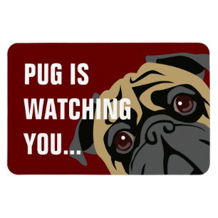 Mops passt auf magnet