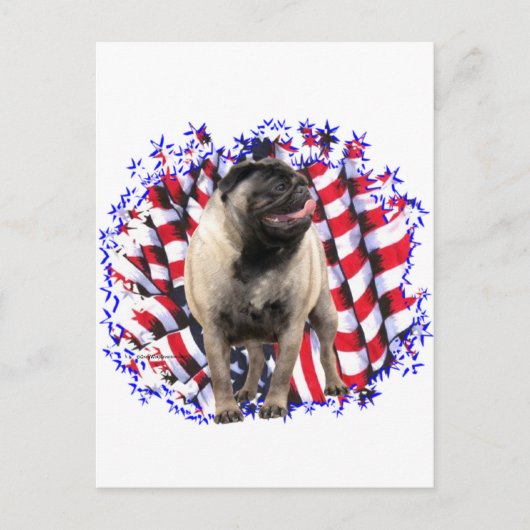 Mops Patriot Postkarte (Vorderseite)