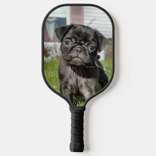 Mops Pickleball Schläger (Rückseite)