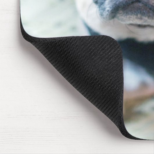 Mops Pilot Mousepad (Ecke)