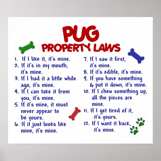 MOPS PL2 POSTER (Vorne)