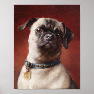 Mops Plakat