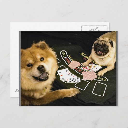Mops Poker Postkarte (Vorne/Hinten)