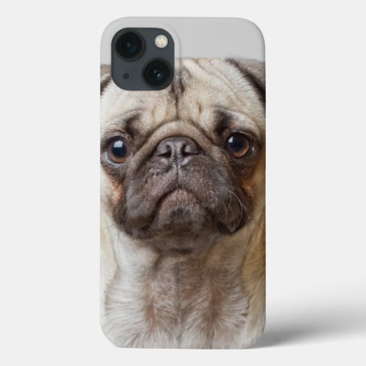 Mops Portrait Case-Mate iPhone Hülle (Rückseite)