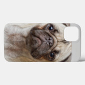 Mops Portrait Case-Mate iPhone Hülle (Rückseite (Horizontal))
