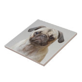 Mops-Portrait Fliese (Seite)