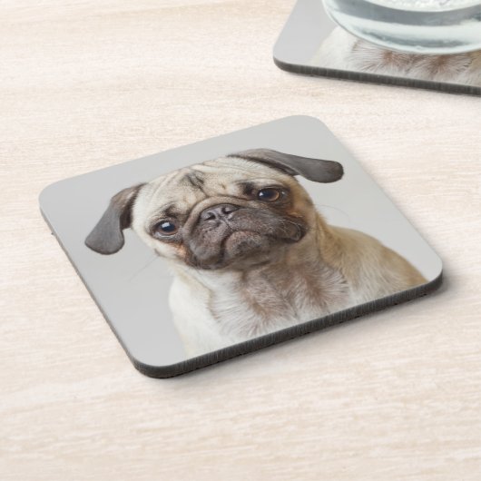 Mops Portrait Getränkeuntersetzer (Linke Seite)