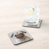 Mops Portrait Getränkeuntersetzer (Rechte Seite)