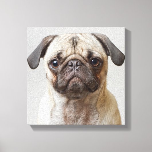 Mops Portrait Leinwanddruck (Vorderseite)