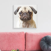 Mops Portrait Leinwanddruck (Insitu (Wohnzimmer))