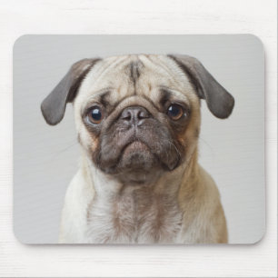 Mops Portrait Mousepad