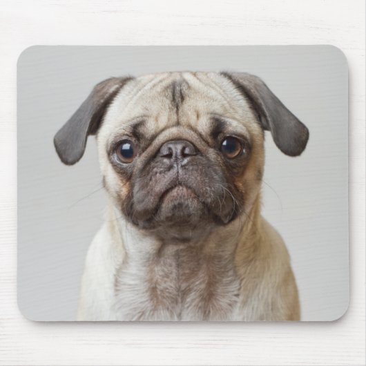 Mops Portrait Mousepad (Vorne)