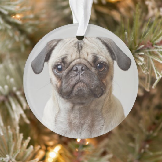 Mops-Portrait Ornament (Baum)