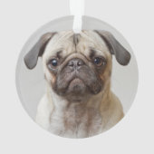 Mops-Portrait Ornament (Rückseite)