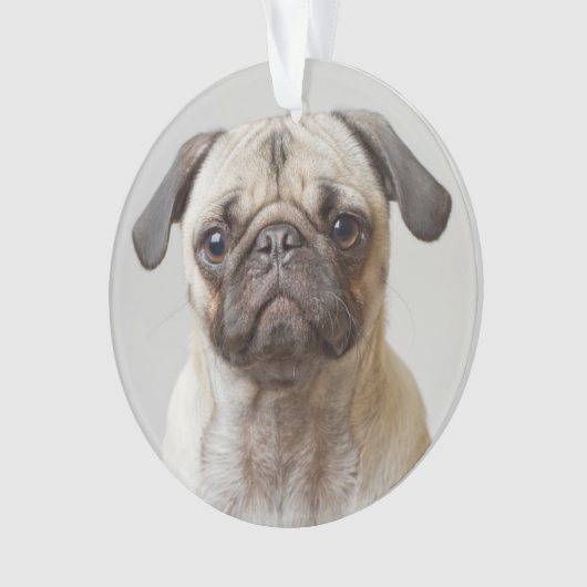 Mops-Portrait Ornament (Vorderseite)