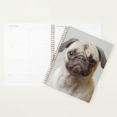 Mops Portrait Planer (Anzeige)