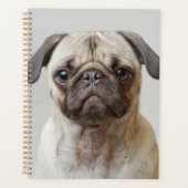 Mops Portrait Planer (Vorderseite)