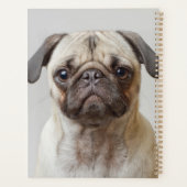 Mops Portrait Planer (Rückseite)
