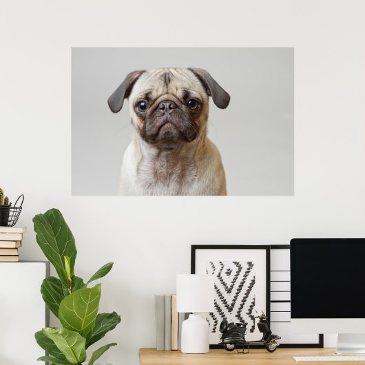 Mops Portrait Poster (Heimbüro)