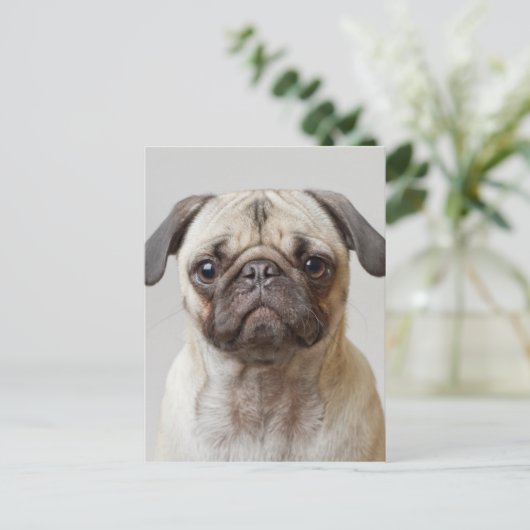 Mops-Portrait Postkarte (Stehend Vorderseite)