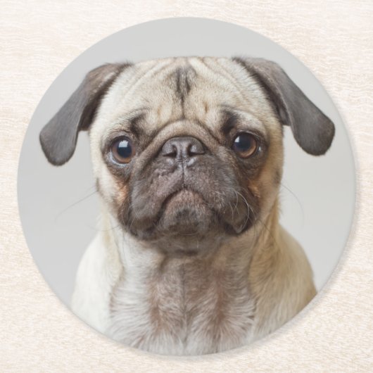 Mops-Portrait Runder Pappuntersetzer (Vorderseite)