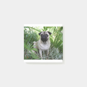 Mops Post-it Klebezettel