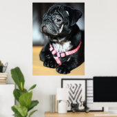 Mops Poster (Heimbüro)