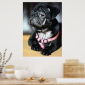 Mops Poster (Küche)