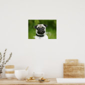 Mops Poster (Küche)