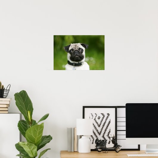 Mops Poster (Heimbüro)
