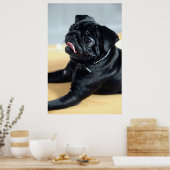 Mops Poster (Küche)