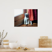 Mops Poster (Küche)