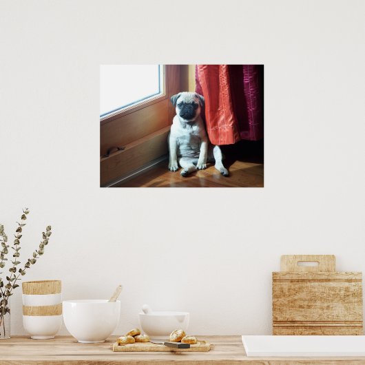 Mops Poster (Küche)