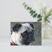 Mops Postkarte (Stehend Vorderseite)