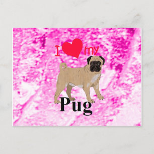 Mops Postkarte