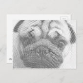 Mops Postkarte (Vorne/Hinten)