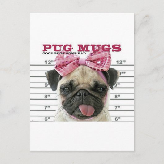 Mops Postkarte (Vorderseite)