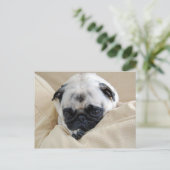Mops Postkarte (Stehend Vorderseite)