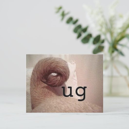 Mops Postkarte (Stehend Vorderseite)