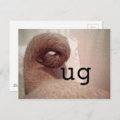 Mops Postkarte (Vorne/Hinten)