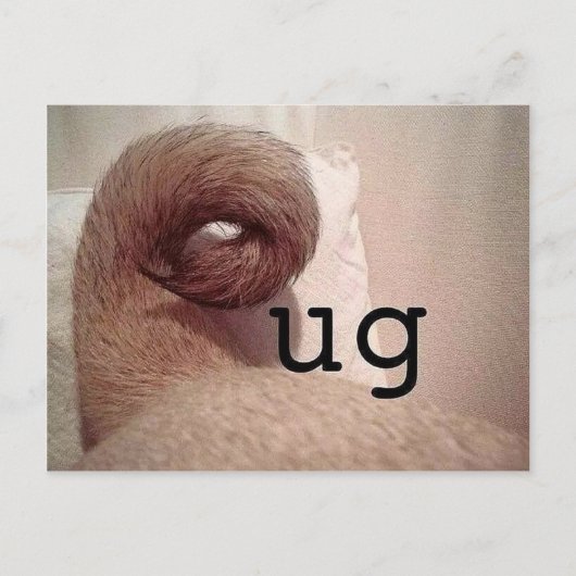 Mops Postkarte (Vorderseite)